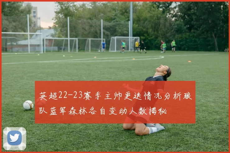 英超22-23赛季主帅更迭情况分析狼队蓝军森林各自变动人数揭秘