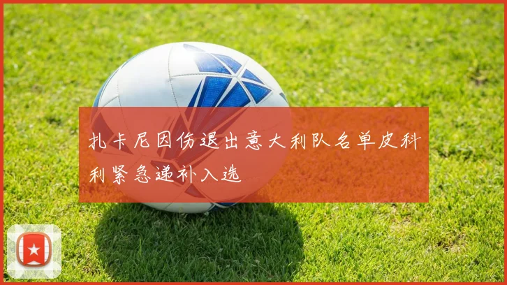 扎卡尼因伤退出意大利队名单皮科利紧急递补入选