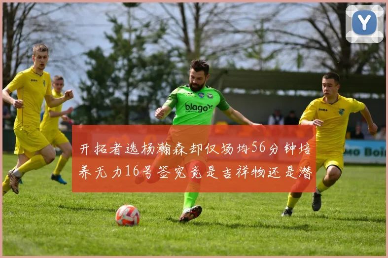 开拓者选杨瀚森却仅场均56分钟培养无力16号签究竟是吉祥物还是潜力股